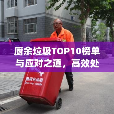 廚余垃圾TOP10榜單與應(yīng)對之道，高效處理策略揭秘