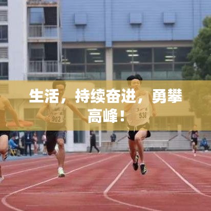 生活，持續(xù)奮進(jìn)，勇攀高峰！