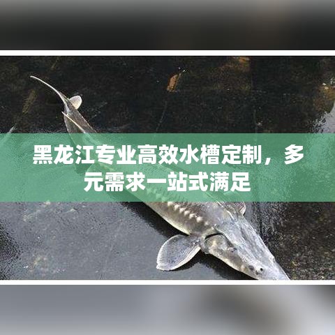 黑龍江專業(yè)高效水槽定制，多元需求一站式滿足