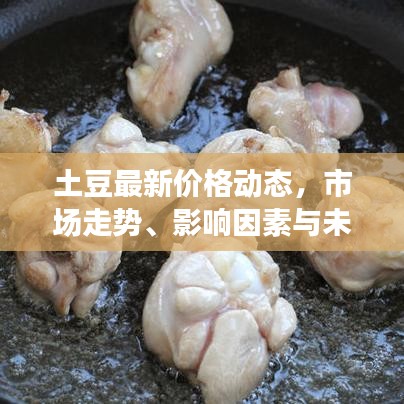 土豆最新價(jià)格動(dòng)態(tài)，市場走勢、影響因素與未來預(yù)測分析