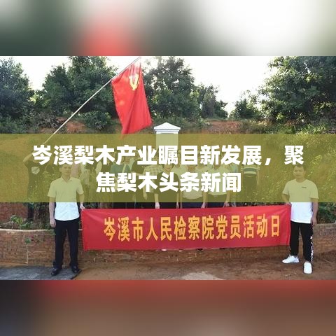 岑溪梨木產(chǎn)業(yè)矚目新發(fā)展，聚焦梨木頭條新聞