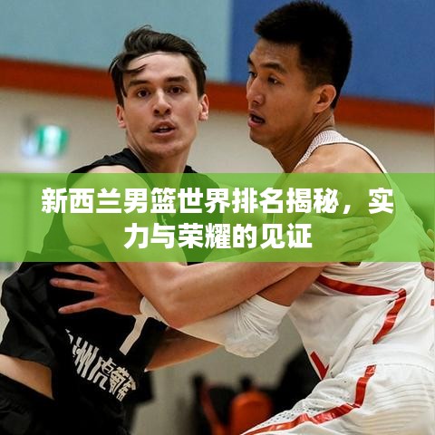 新西蘭男籃世界排名揭秘，實(shí)力與榮耀的見證