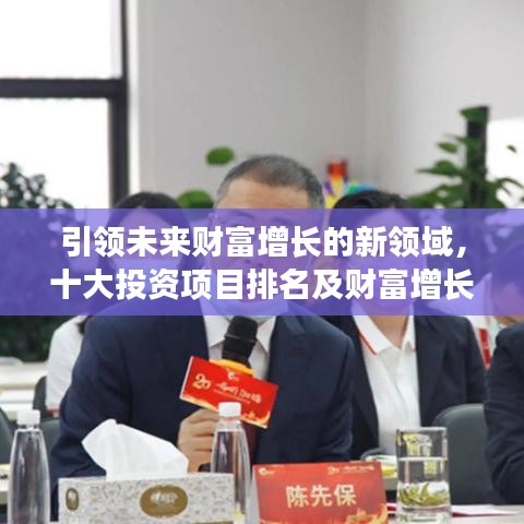 引領(lǐng)未來財富增長的新領(lǐng)域，十大投資項目排名及財富增長機(jī)會分析