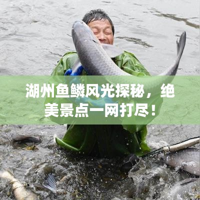 湖州魚鱗風(fēng)光探秘，絕美景點(diǎn)一網(wǎng)打盡！