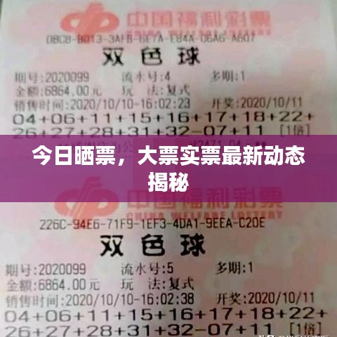 今日曬票，大票實票最新動態(tài)揭秘