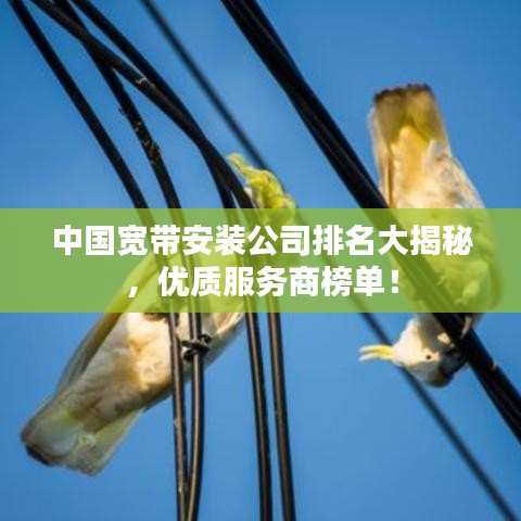 中國寬帶安裝公司排名大揭秘，優(yōu)質(zhì)服務(wù)商榜單！
