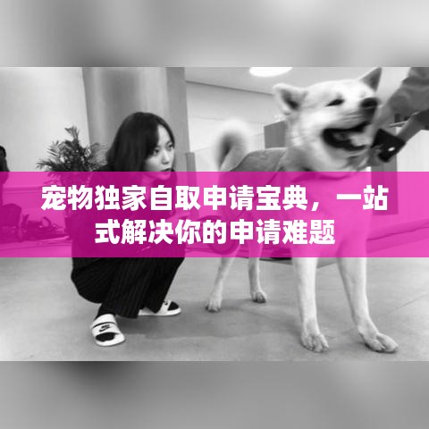寵物獨家自取申請寶典，一站式解決你的申請難題