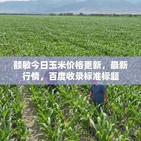 額敏今日玉米價(jià)格更新，最新行情，百度收錄標(biāo)準(zhǔn)標(biāo)題