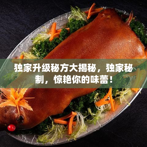 獨(dú)家升級(jí)秘方大揭秘，獨(dú)家秘制，驚艷你的味蕾！