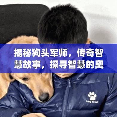 揭秘狗頭軍師，傳奇智慧故事，探尋智慧的奧秘