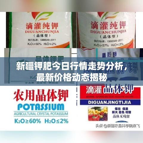 新疆鉀肥今日行情走勢(shì)分析，最新價(jià)格動(dòng)態(tài)揭秘