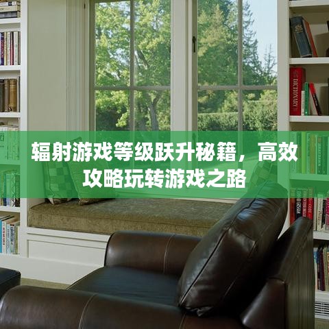 輻射游戲等級(jí)躍升秘籍，高效攻略玩轉(zhuǎn)游戲之路