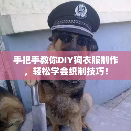 手把手教你DIY狗衣服制作，輕松學(xué)會(huì)織制技巧！