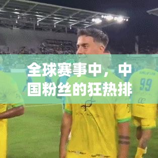 全球賽事中，中國(guó)粉絲的狂熱排名揭秘！