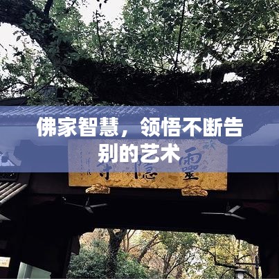 佛家智慧，領(lǐng)悟不斷告別的藝術(shù)