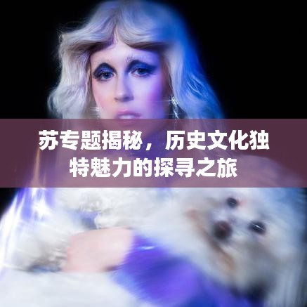 蘇專題揭秘，歷史文化獨(dú)特魅力的探尋之旅