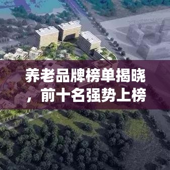 養(yǎng)老品牌榜單揭曉，前十名強(qiáng)勢(shì)上榜，不容錯(cuò)過！