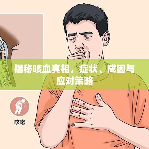 揭秘咳血真相，癥狀、成因與應(yīng)對策略