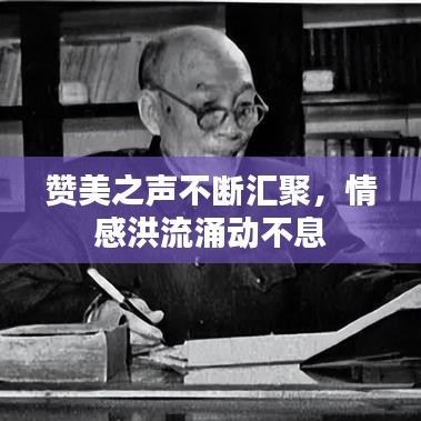 贊美之聲不斷匯聚，情感洪流涌動不息