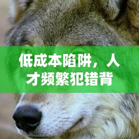 低成本陷阱，人才頻繁犯錯(cuò)背后的原因揭秘