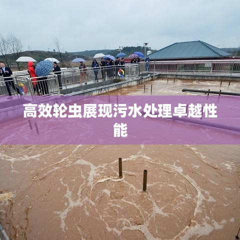 高效輪蟲展現(xiàn)污水處理卓越性能