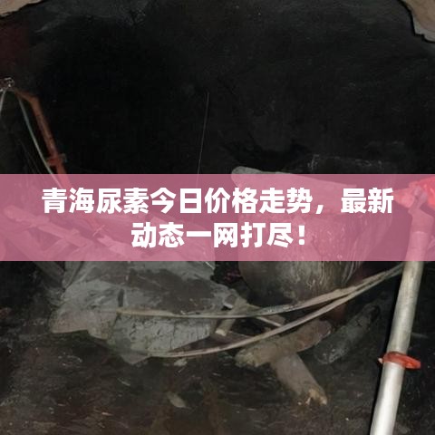 青海尿素今日價(jià)格走勢，最新動(dòng)態(tài)一網(wǎng)打盡！