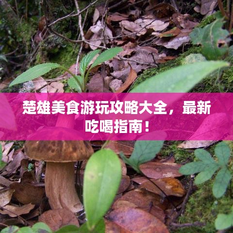 鳥聲獸心 第2頁