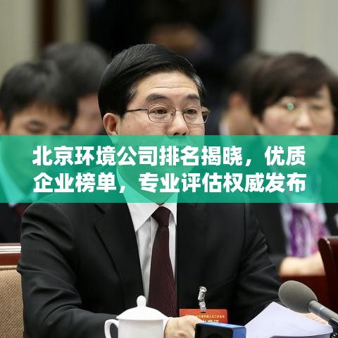 北京環(huán)境公司排名揭曉，優(yōu)質企業(yè)榜單，專業(yè)評估權威發(fā)布！
