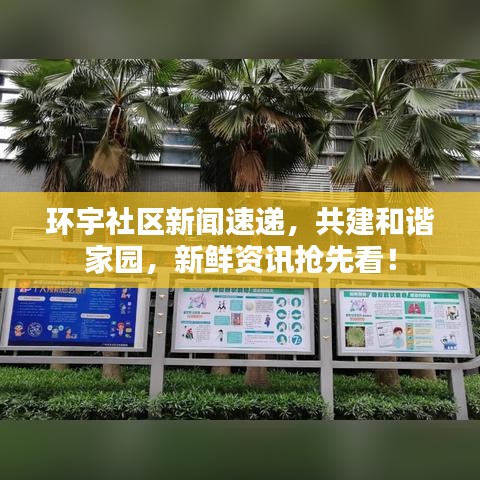 環(huán)宇社區(qū)新聞速遞，共建和諧家園，新鮮資訊搶先看！