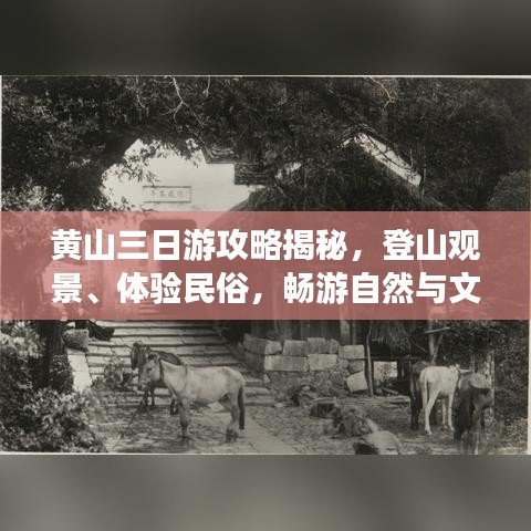 黃山三日游攻略揭秘，登山觀景、體驗(yàn)民俗，暢游自然與文化的盛宴！