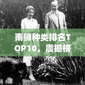南獅種類排名TOP10，震撼榜單，不容錯過！