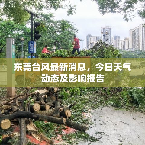 東莞臺(tái)風(fēng)最新消息，今日天氣動(dòng)態(tài)及影響報(bào)告