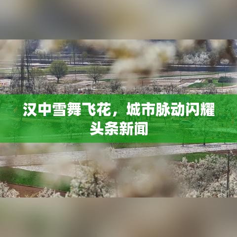 漢中雪舞飛花，城市脈動(dòng)閃耀頭條新聞