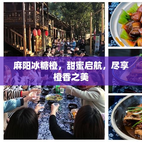 麻陽冰糖橙，甜蜜啟航，盡享橙香之美