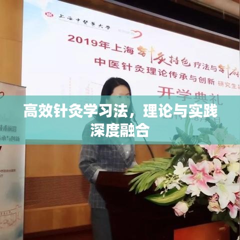 高效針灸學(xué)習(xí)法，理論與實(shí)踐深度融合
