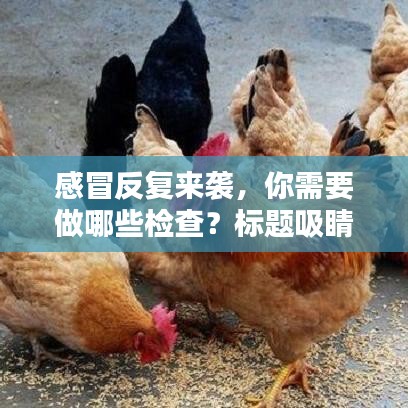 感冒反復(fù)來(lái)襲，你需要做哪些檢查？標(biāo)題吸睛，百度收錄標(biāo)準(zhǔn)