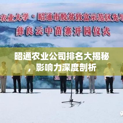 昭通農(nóng)業(yè)公司排名大揭秘，影響力深度剖析