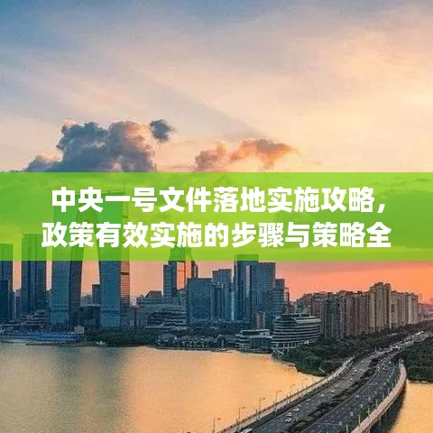 中央一號(hào)文件落地實(shí)施攻略，政策有效實(shí)施的步驟與策略全解析