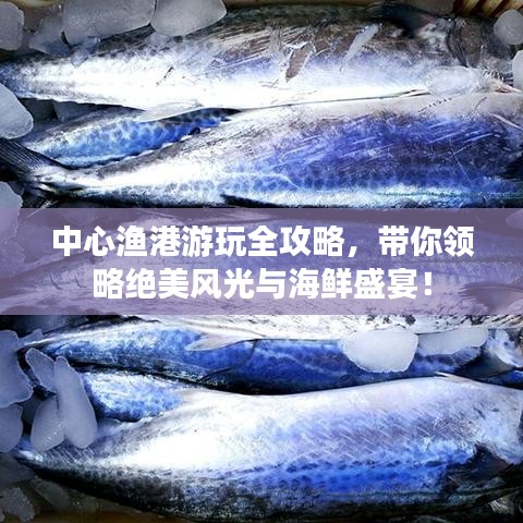 中心漁港游玩全攻略，帶你領(lǐng)略絕美風(fēng)光與海鮮盛宴！