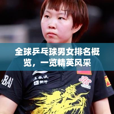 全球乒乓球男女排名概覽，一覽精英風(fēng)采