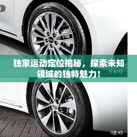 獨家運動定位揭秘，探索未知領(lǐng)域的獨特魅力！