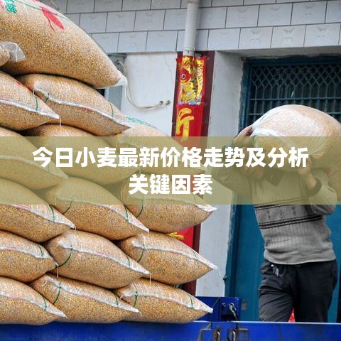 骨瘦如柴 第2頁(yè)