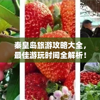 秦皇島旅游攻略大全，最佳游玩時(shí)間全解析！