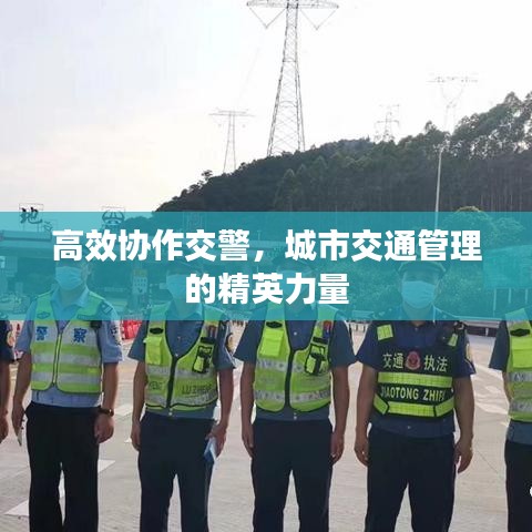 高效協(xié)作交警，城市交通管理的精英力量