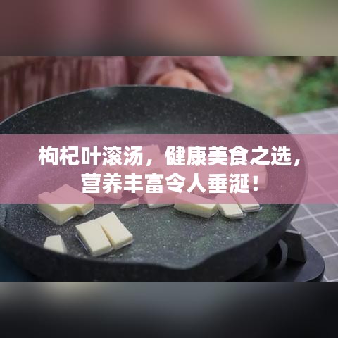 枸杞葉滾湯，健康美食之選，營養(yǎng)豐富令人垂涎！