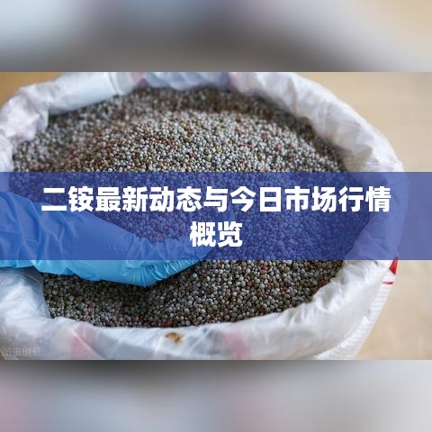 二銨最新動(dòng)態(tài)與今日市場行情概覽