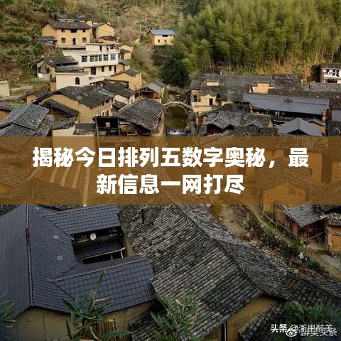揭秘今日排列五數(shù)字奧秘，最新信息一網(wǎng)打盡