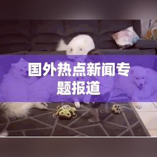 國外熱點新聞專題報道