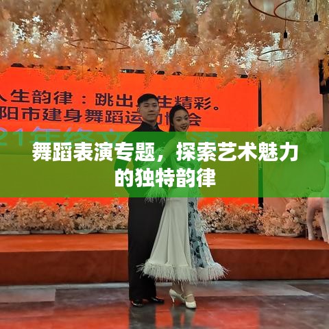 舞蹈表演專題，探索藝術(shù)魅力的獨特韻律