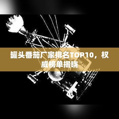 罐頭番茄廠家排名TOP10，權(quán)威榜單揭曉